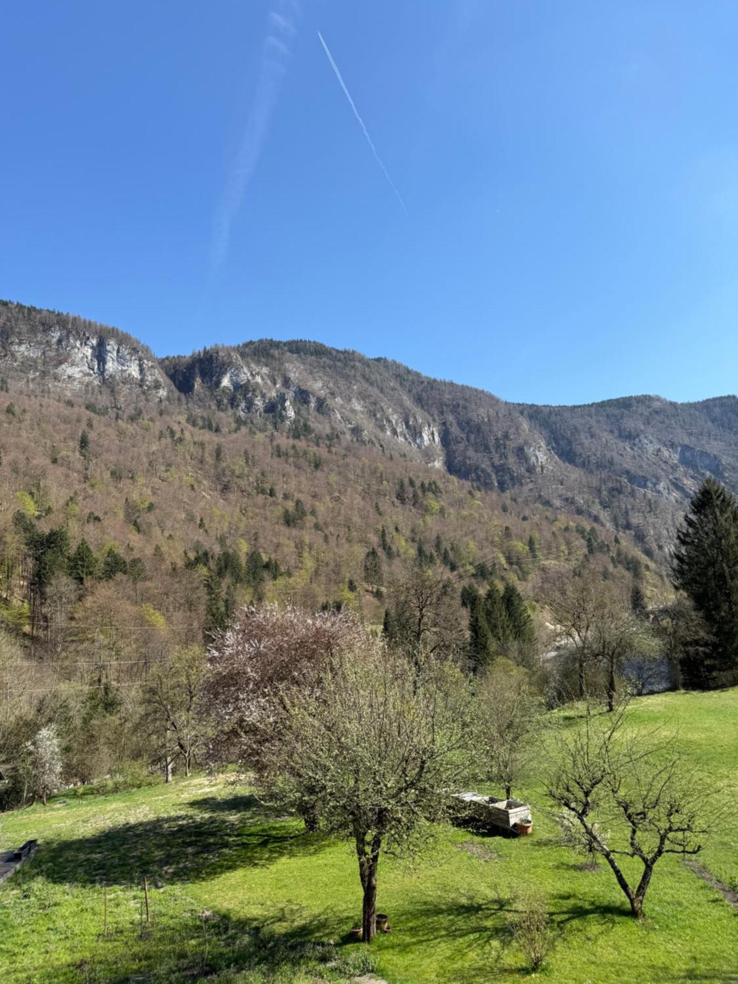 4 Elements Resort Bled Bohinjska Bela Buitenkant foto